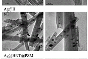 含聚磷腈包覆的掺银埃洛石纳米管复合材料的制备方法及其应用