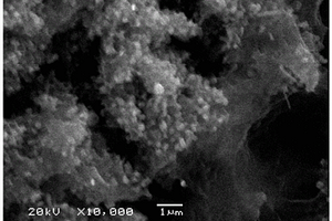 锂硫电池正极用纳米级复合材料及其制备方法