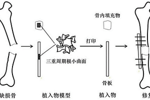 复合材料和结构功能的金属骨植入物的制造方法