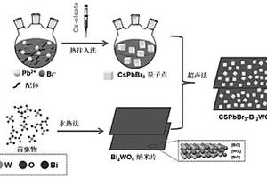 Z-scheme型钙钛矿量子点/钨酸铋复合材料的制备方法和应用