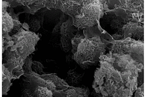 水钠锰矿@水化硅酸钙复合材料及其制备和应用