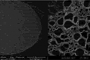 碳酸钙微球-细胞外基质复合材料及其制备方法和应用