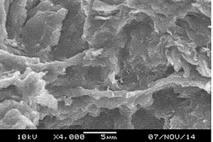 聚氯乙烯/石墨烯纳米复合材料及其制备方法