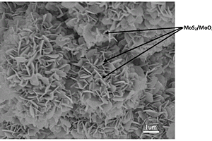 制备用于钠离子负极材料的二硫化钼二氧化钼复合材料的方法