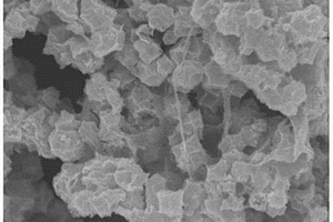 中空多孔Co<sub>3</sub>O<sub>4</sub>纳米盒/还原氧化石墨烯复合材料的制备方法及应用