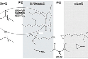 硅凝胶/聚丙烯酸酯聚合物复合材料