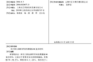 用于挤出薄壁型材的聚酰胺66复合材料