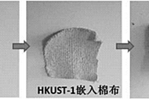 碳基复合材料的制备方法和用途