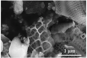 硅藻复合材料及其制备方法和在锂离子电池中的应用