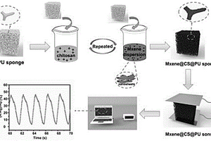 Mxene@壳聚糖@聚氨酯泡沫三维复合材料及其制备方法和应用