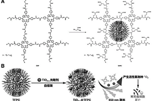 两性离子共价有机聚合物/二氧化钛纳米复合材料及其制备方法和应用