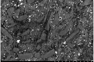 原位合成Al<sub>4</sub>O<sub>4</sub>C纳米颗粒增强铝基复合材料的方法