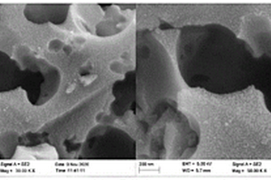 磁性生物炭固定化酶复合材料及其制备方法