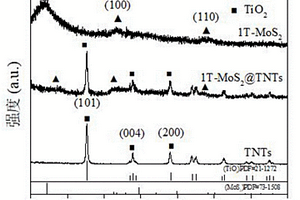 金属相二硫化钼/二氧化钛纳米管复合材料光催化剂的制备方法及应用