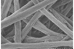 多孔二氧化钛复合材料及其制备方法和应用