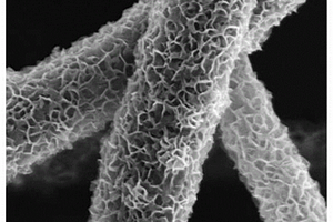 基于碳纳米纤维金属硫化物自支撑复合材料及其制备方法和应用