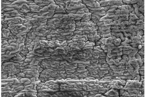 在镁基复合材料表面制备Ti/TiO2或TiN生物相容性膜层的方法