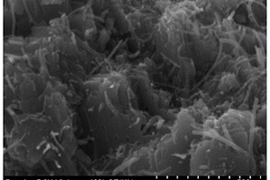 黑磷碳纳米管复合材料作为非接触式静电响应驱动器的应用