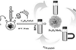 环境友好型二硫化钼/三氧化二铁纳米复合材料的制备方法及应用