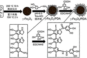 磁性纳米复合材料γ-Fe2O3/PDA-GA的制备及应用