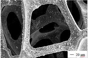 微波快速合成铅、氧化石墨掺杂铁酸铋与泡沫镍复合材料的方法及应用