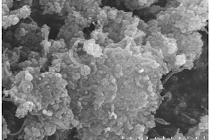 聚苯乙烯-二乙烯基苯修饰的磁性碳纳米管复合材料及其应用