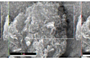 凹凸棒石/g-C<sub>3</sub>N<sub>4</sub>/MoS<sub>2</sub>异质结复合材料、制备方法和用途