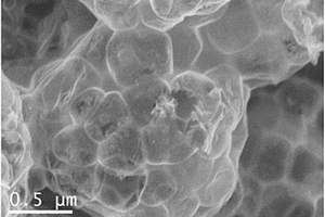 非晶TiO<sub>2</sub>薄层包覆三维碳网络负载SnO<sub>2</sub>纳米颗粒复合材料制备与应用