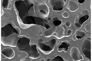 气体发泡法制备的多孔聚氨酯骨修复材料及其应用