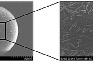 原位悬浮聚合包覆磷石膏晶须复合母粒制备方法