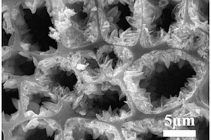 有序孔隙木质衍生碳负载钴酸镍吸波材料的制备方法
