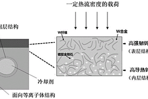 快速移能聚变堆偏滤器水冷钨靶模块及冷却靶板结构