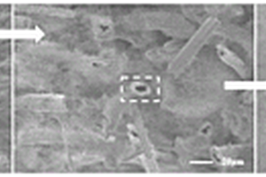 碳化硅纳米管气凝胶的制备方法