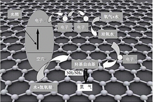 硫化钼协同氮杂石墨烯材料及在近红外光脱氮中的应用