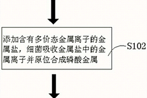 以细菌为基体制备金属离子电池负极材料的方法及电池