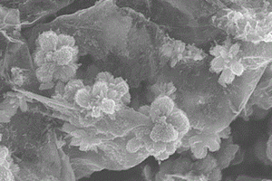 原位制备纳米金红石二氧化钛/碳复合锂电池负极材料的方法