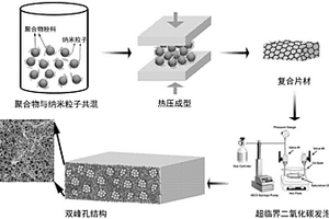 具有双峰孔结构的聚合物微孔发泡材料及其制备方法