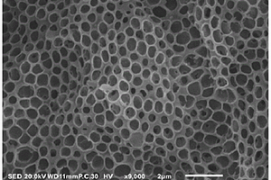 可降解的3D有序大孔壳聚糖膜、其制备方法和应用