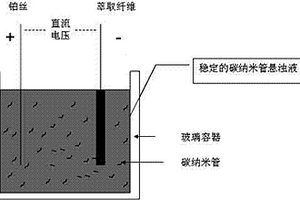 含碳纳米管萃取纤维的制备和应用