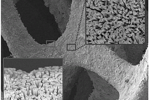 三维石墨烯骨架-柱状氧化锌纳米晶阵列复合结构及其制备方法