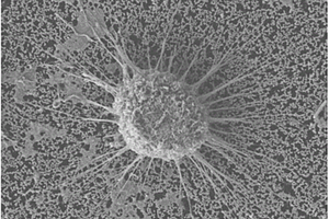 用于循环肿瘤细胞捕获的纳米结构微流控芯片及其制备方法