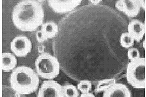 弹性壳体微胶囊相变材料及其制备方法和应用