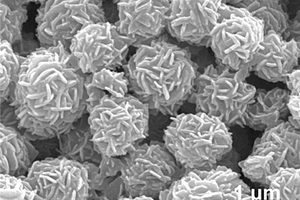 花状Fe/Fe<Sub>3</Sub>C/Fe<Sub>3</Sub>O<Sub>4</Sub>复合吸波材料及其制备方法