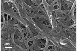 金属离子改性聚乙烯亚胺碳纳米管复合薄膜及其制备方法和应用