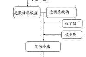 高透气性可降解的载药皮肤创伤敷料及其制备方法和设备