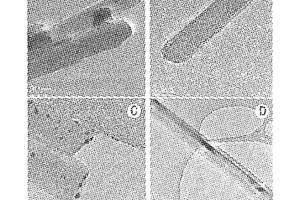 凹凸棒石-银纳米复合抗菌材料及其制备方法