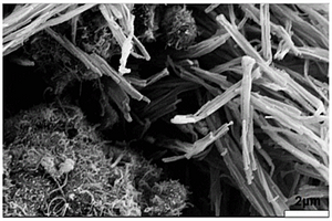 二茂铁修饰的多壁碳纳米管-聚吡咯纳米管吸波材料及其制备方法