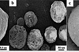 可选择性分离头孢氨苄的磁性酵母菌表面印迹吸附剂及其制备方法和应用