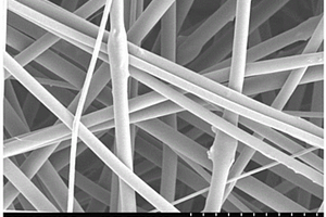 表面具有纳米纤维多孔结构的羟基磷灰石/聚酰胺复合生物材料及其制备方法