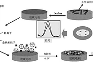 壳聚糖-石墨烯/金纳米粒子@碳纳米管离子印迹传感器的制备方法